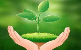 Green Action in Our Class