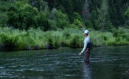 Fresh-water fish and crabs 秋钓