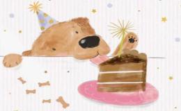 The Person I Like Best 我最喜欢的人