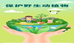 保护野生动物倡议书