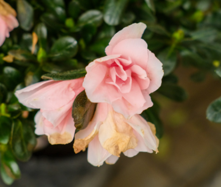 1612706625514678.png image.png