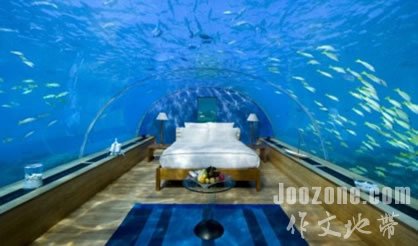 �����ĺ���